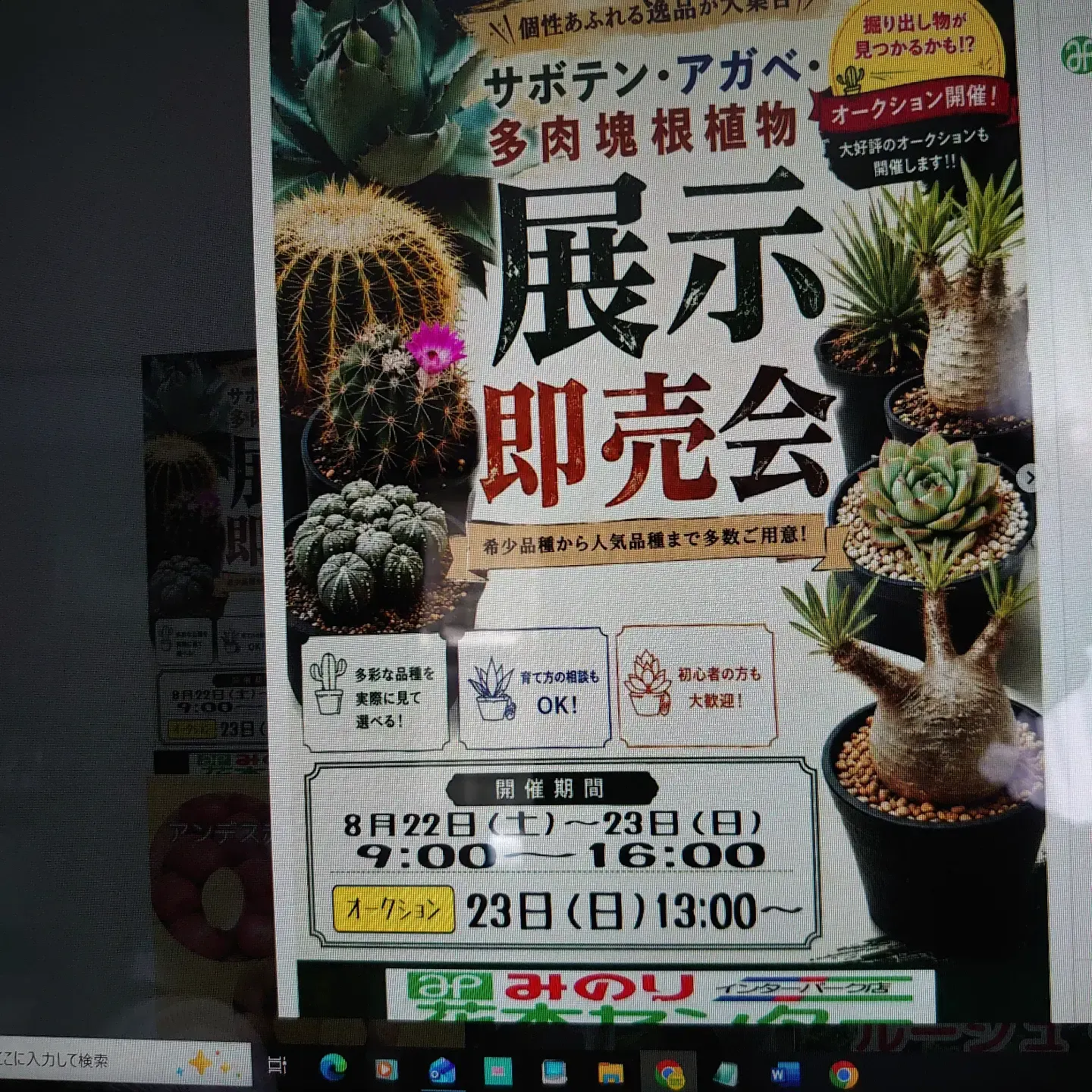 ワイルドプランツ路地裏のギボウシ Instagram画像10